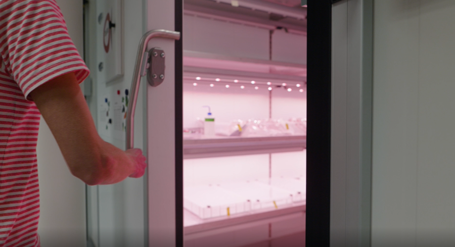 Heeft de zaadveredeling potentie in de markt? Dan komen wij in het spel! (3)